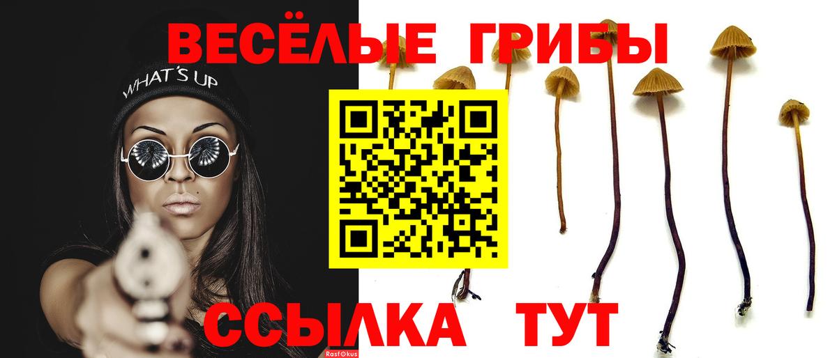 Псилоцибиновые грибы Magic Shrooms  Вход с VPN  Ярцево 